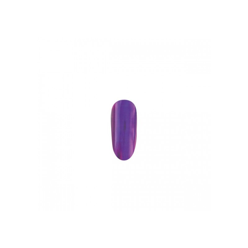 Shell Powder 04