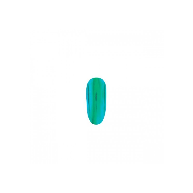 Shell Powder 06